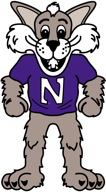 Northwestern Wildcats 1998-Pres Mascot Logo diy DTF decal sticker